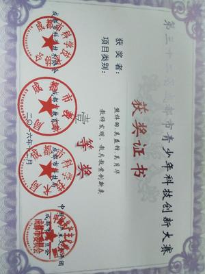 《中學(xué)生自我認識現(xiàn)狀調(diào)查》小組研究性課題榮獲成都市一等獎 - 學(xué)生活動 - 思品組 - 雙流中學(xué)實驗學(xué)校歡迎你!